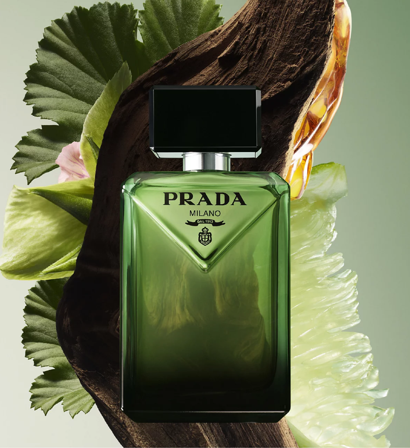Prada Paradigme Eau de Parfum — 100ml, for men